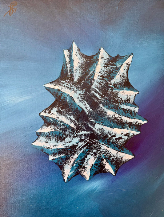 Étoile des Neiges