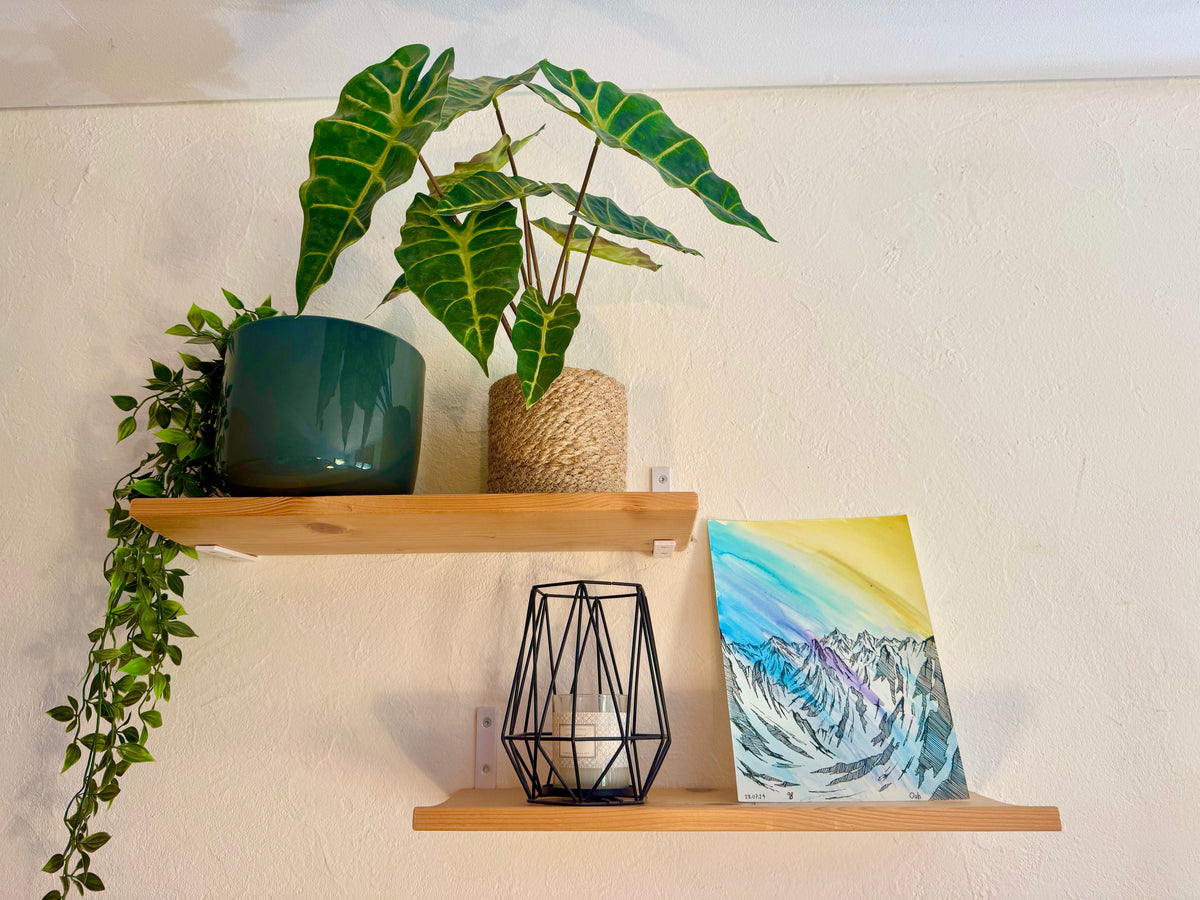 Osh – Aquarelle originale