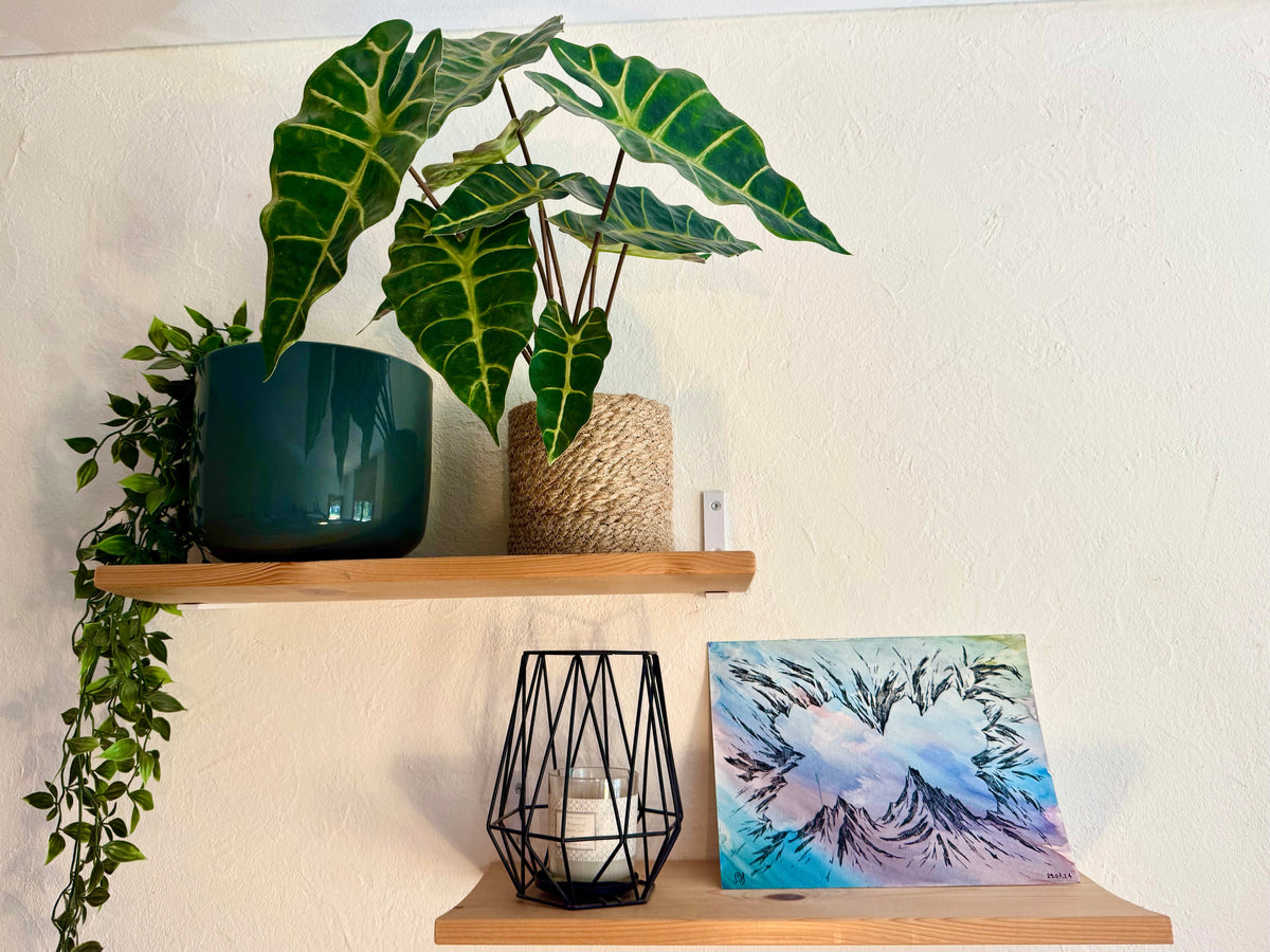 Aquarelle L’Œil du Sommet en situation sur une étagère avec plantes